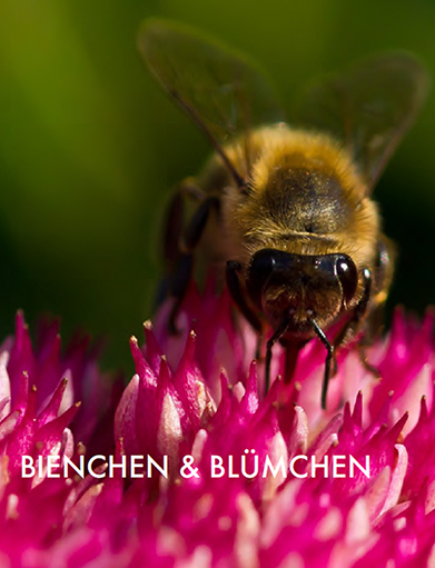 bienchen